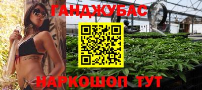 крисы Новокубанск