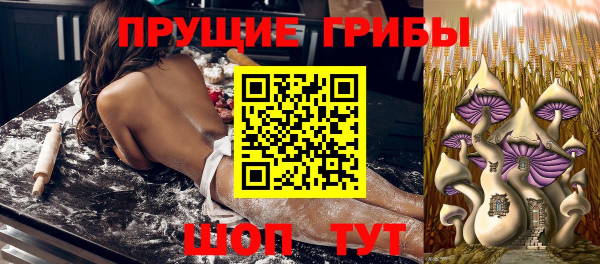Галлюциногенные грибы Cubensis Ростов-на-Дону