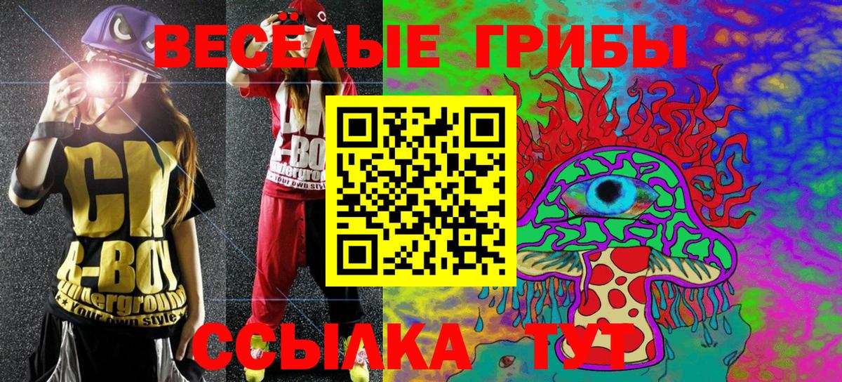 Ростов-на-Дону  Псилоцибиновые грибы MAGIC MUSHROOMS  Вход с VPN 