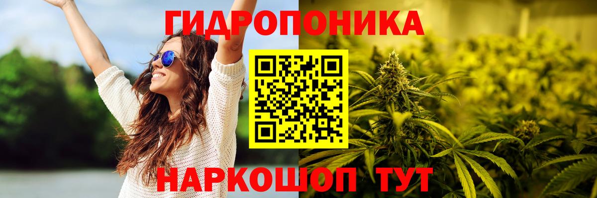 Конопля SATIVA & INDICA  Каннабис тримм  Вход с VPN  Ростов-на-Дону  Марихуана планчик 